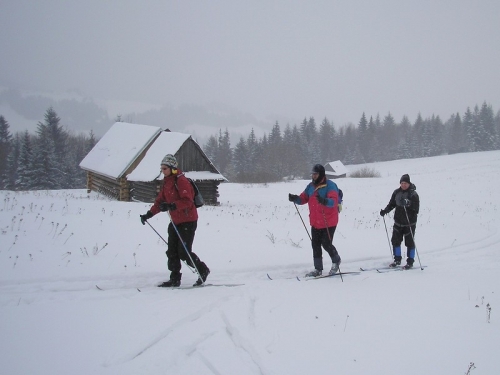 201002011753000.2010.01.31 - Pieniny 010